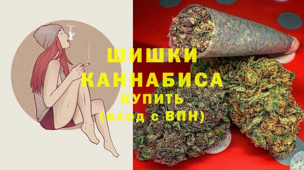 PSILOCYBIN Богородск